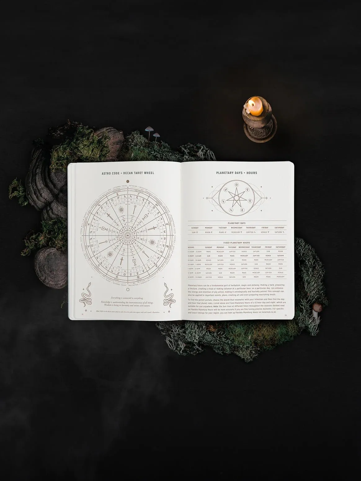 2024 Mini Astrological Pocket Planner